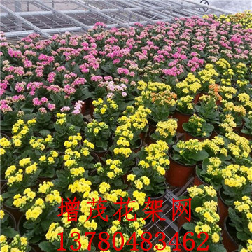 <a href='/' target='_blank'><a href='/' target='_blank'>溫室苗床</a>網(wǎng)</a>廠家